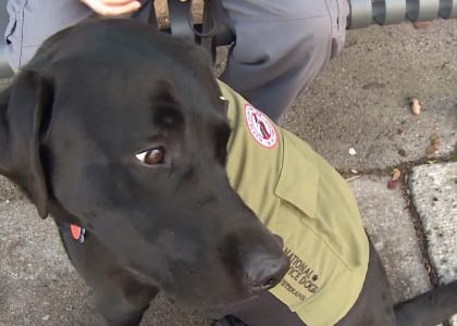 Watch how a dog helped one veteran conquer his PTSD